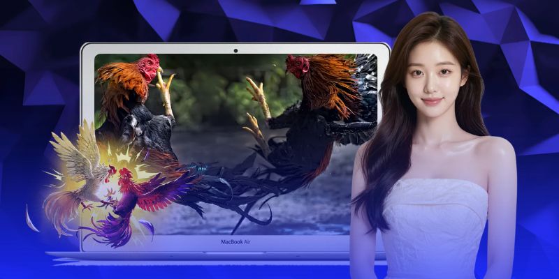 Nhà cái luôn triển khai hàng ngàn trận đấu mỗi ngày Nhà cái luôn triển khai hàng ngàn trận đấu mỗi ngày