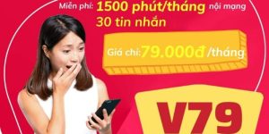 V79 Đăng Ký Gói Trả Trước - Cú Pháp SMS Chuẩn Mới 2026